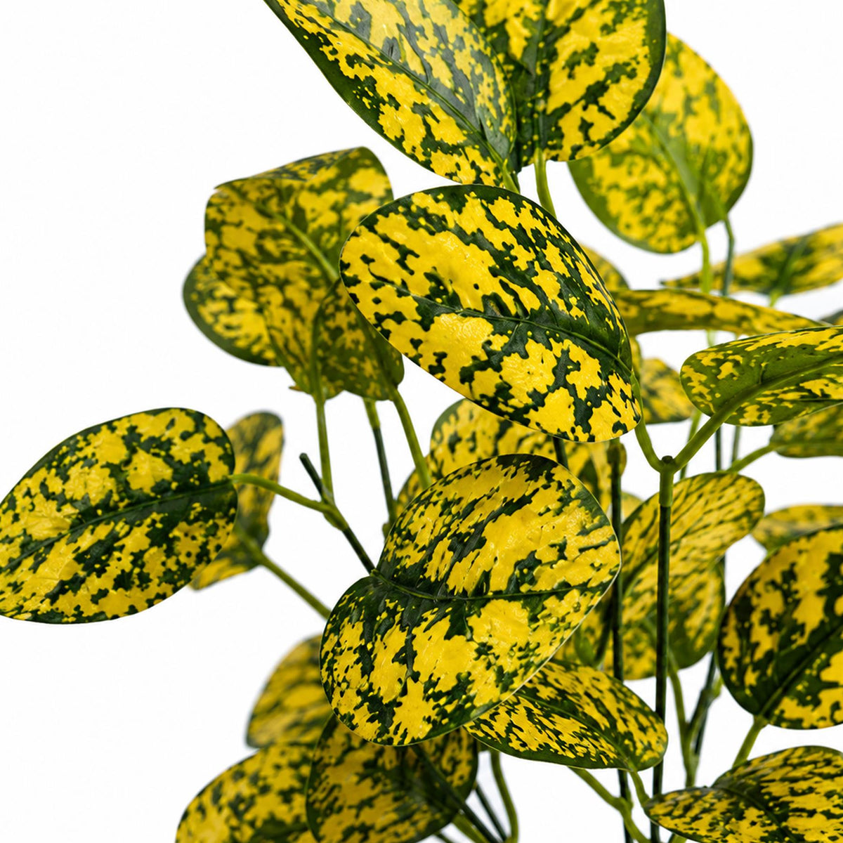 30cm Artificial Variegated Leaf Spray