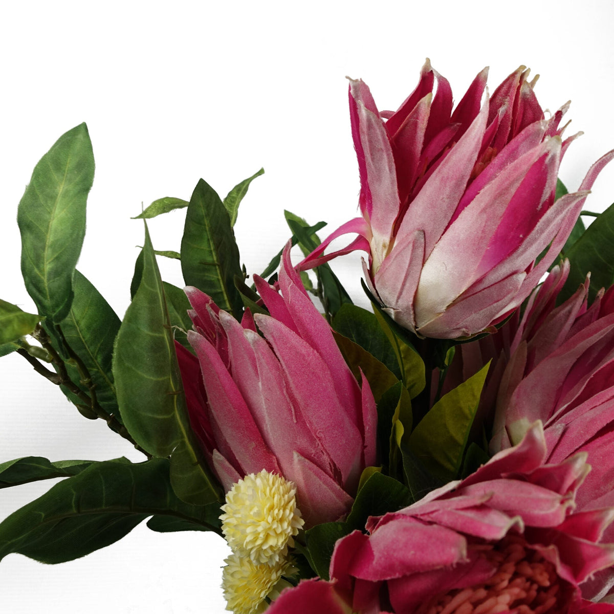 65cm Artificial Protea Sugarbush Flower Stem – image 26