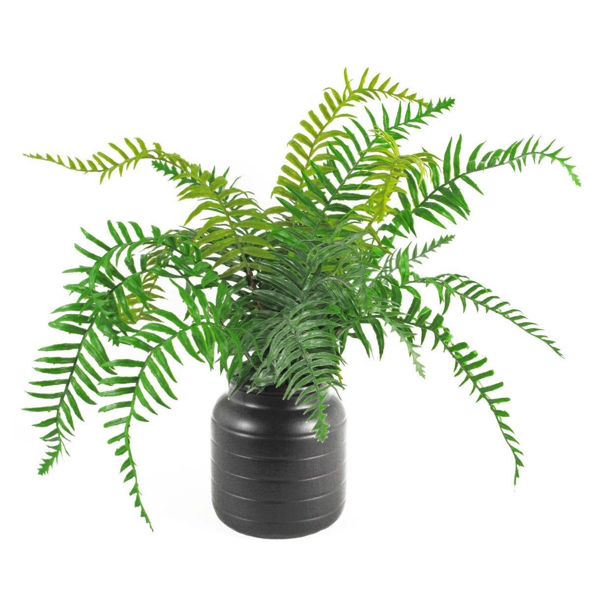 Black Vase Planter 13 x 13 x 14cm – image 6