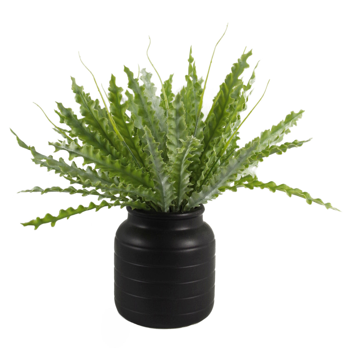 Black Vase Planter 13 x 13 x 14cm – image 7