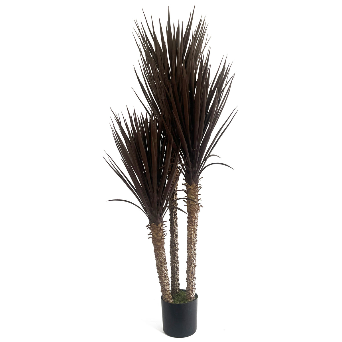 155cm Artificial UV Resistant XL Triple Yucca Tree Plant Spiky Tree Triple Dark