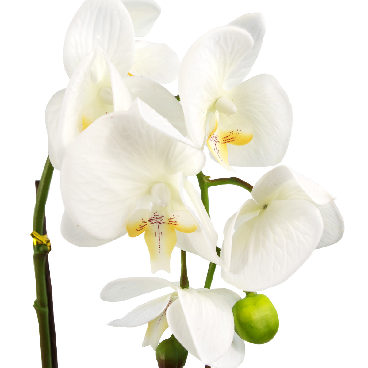 46cm Artificial Orchid White with Silver Pot – image 2