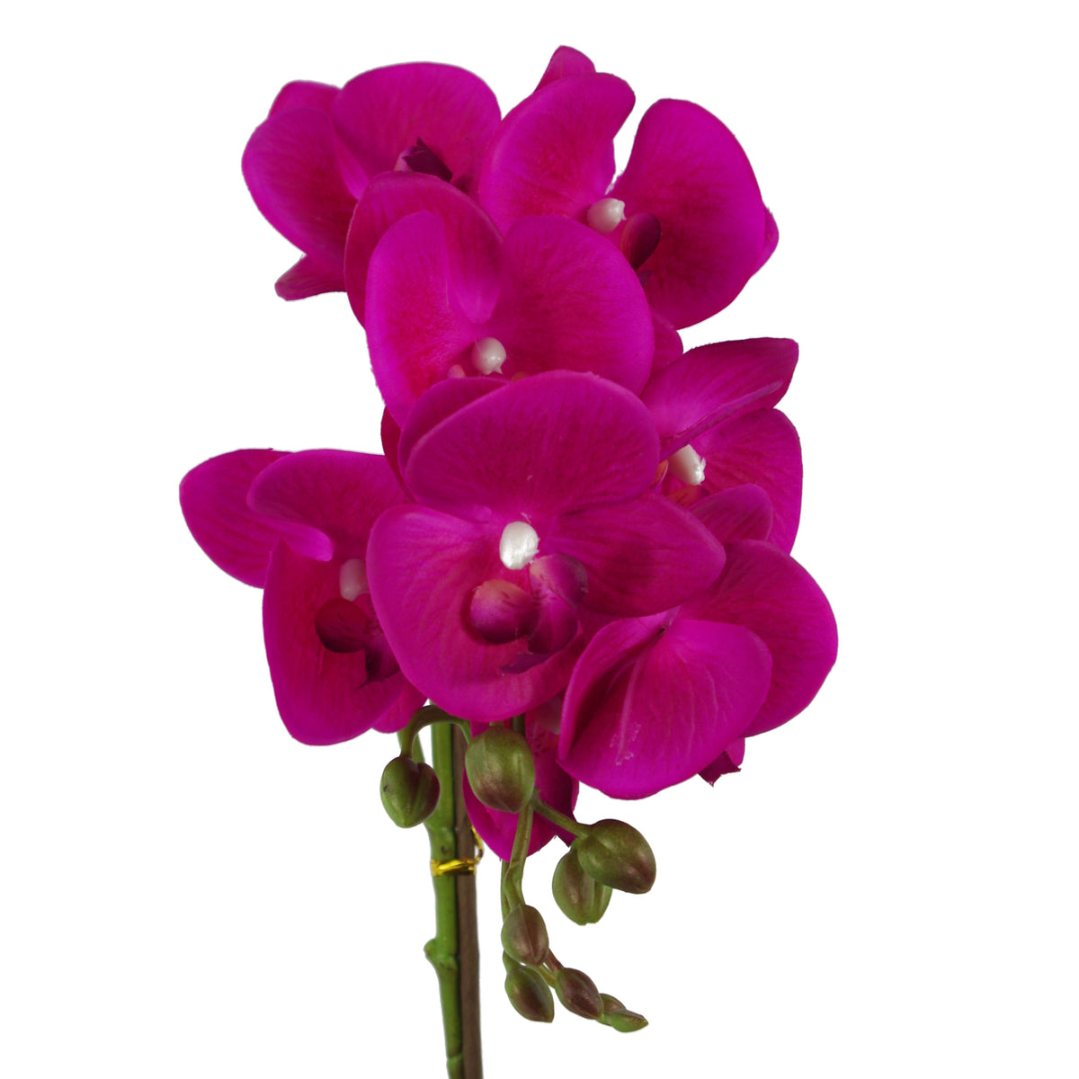 50cm Phalaenopsis Orchid Artificial - Dark Pink Silver – image 2
