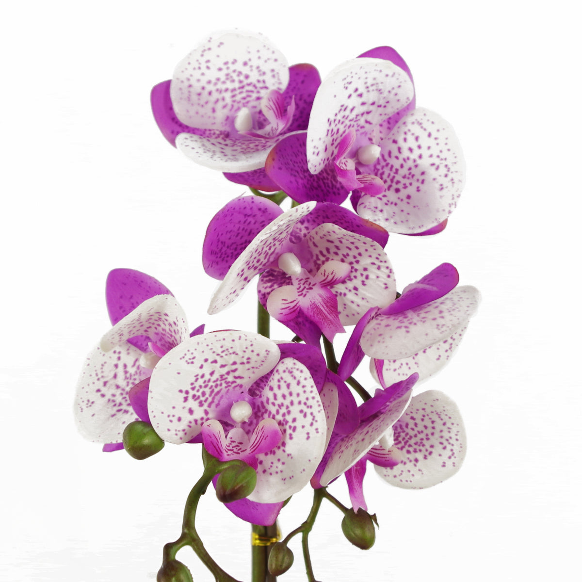 50cm Phalaenopsis Orchid Artificial - Purple / White - Gold Pot – image 3