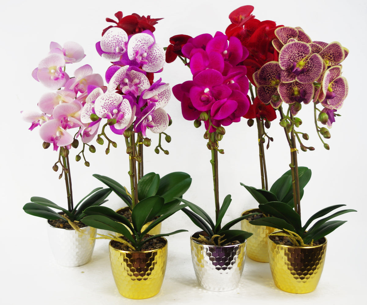50cm Phalaenopsis Orchid Artificial - Dark Red - Gold Pot – image 3