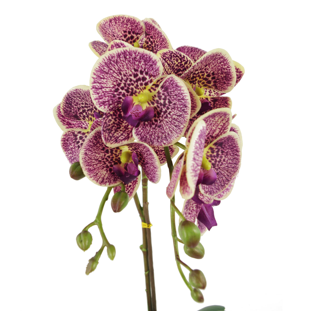 50cm Phalaenopsis Orchid Artificial - Purple Leopard - Gold Pot – image 2