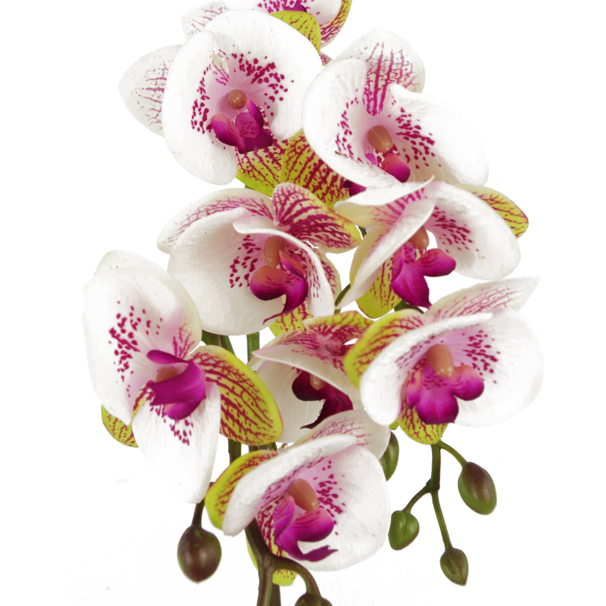 48cm Harlequin Orchid Artificial - Pink with Gold Pot – image 2
