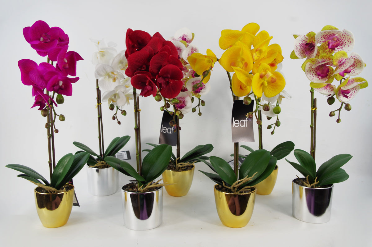 46cm Artificial Orchid Dark White / Silver – image 6