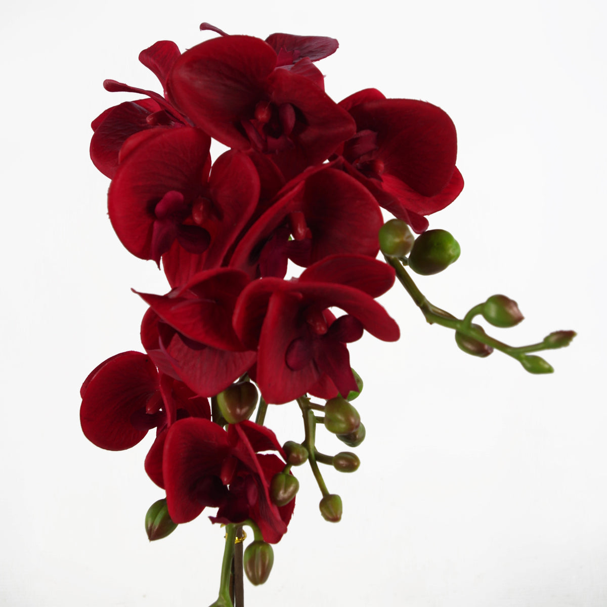50cm Phalaenopsis Orchid Artificial - Dark Red - Gold Pot – image 2