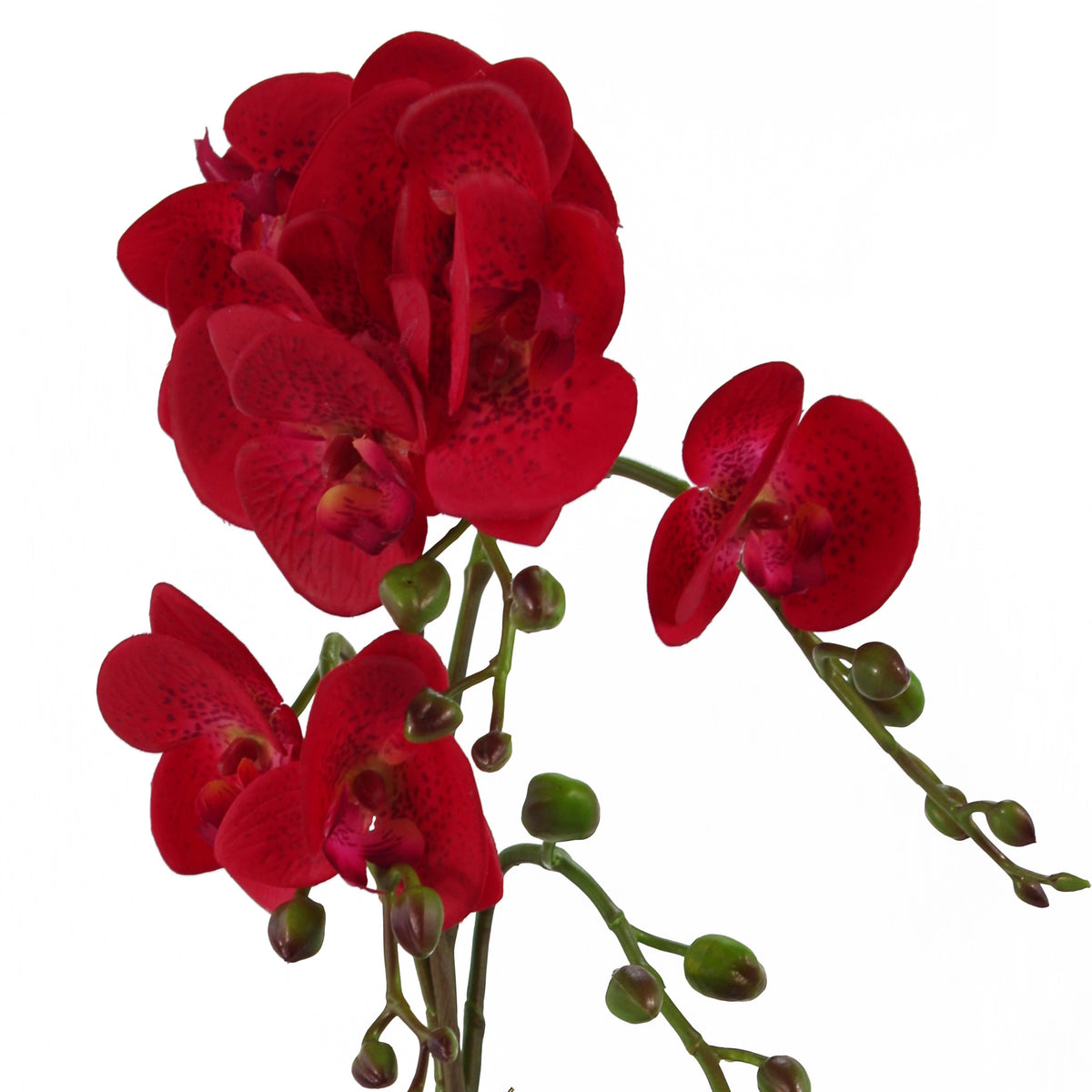 50cm Phalaenopsis Orchid Artificial - Red Leopard - Gold Pot – image 3