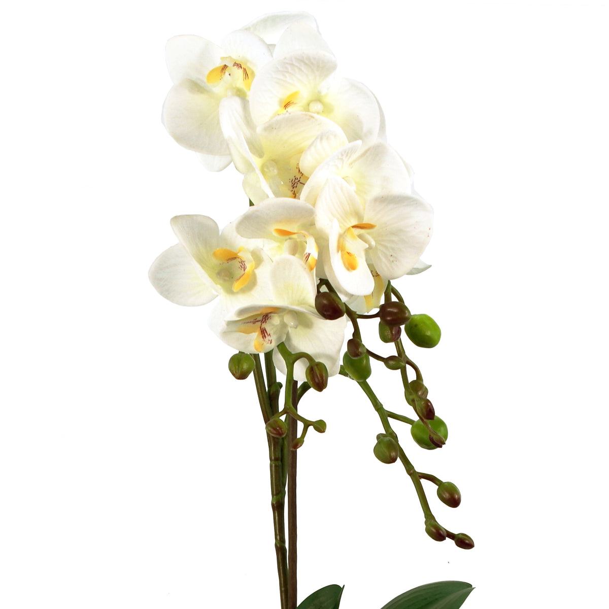 54cm Artificial Orchid Plant - White with Gold Pot – image 2