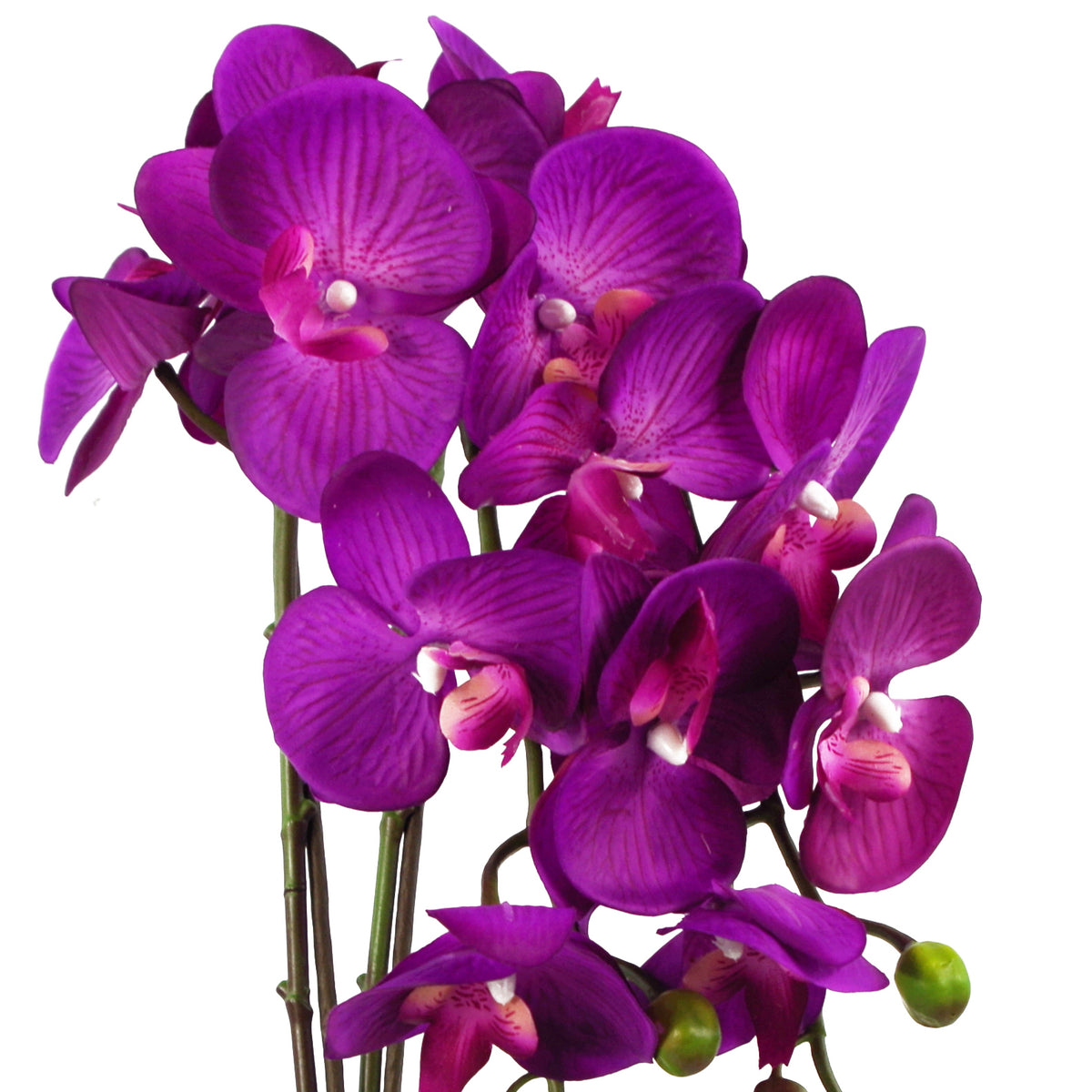 52cm Artificial Orchid Large - Purple / Gold – image 2