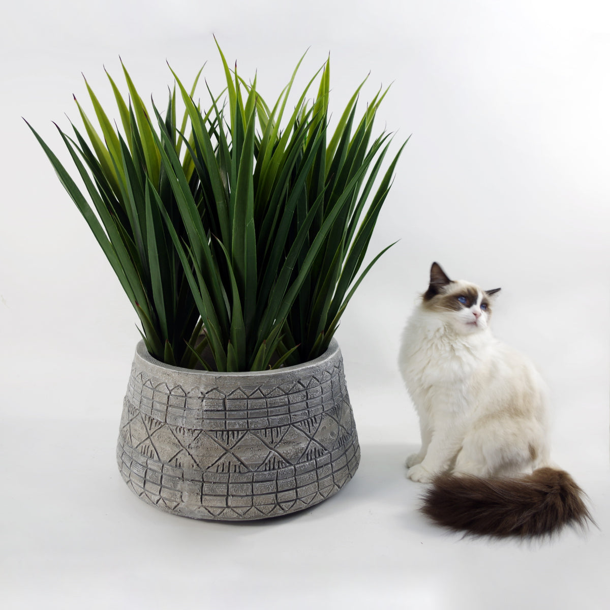 22cm x 37cm Large Grey Gliese Embossed Planter – image 2