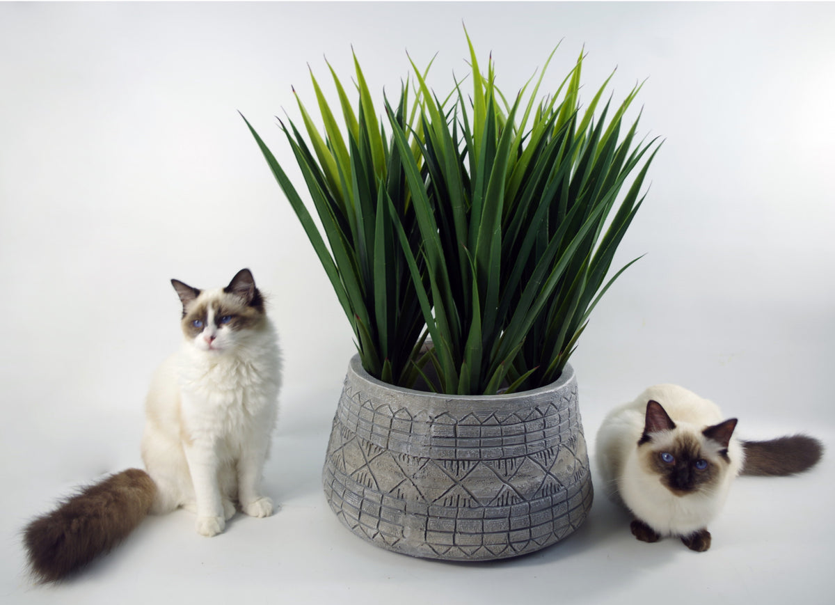 22cm x 37cm Large Grey Gliese Embossed Planter – image 6