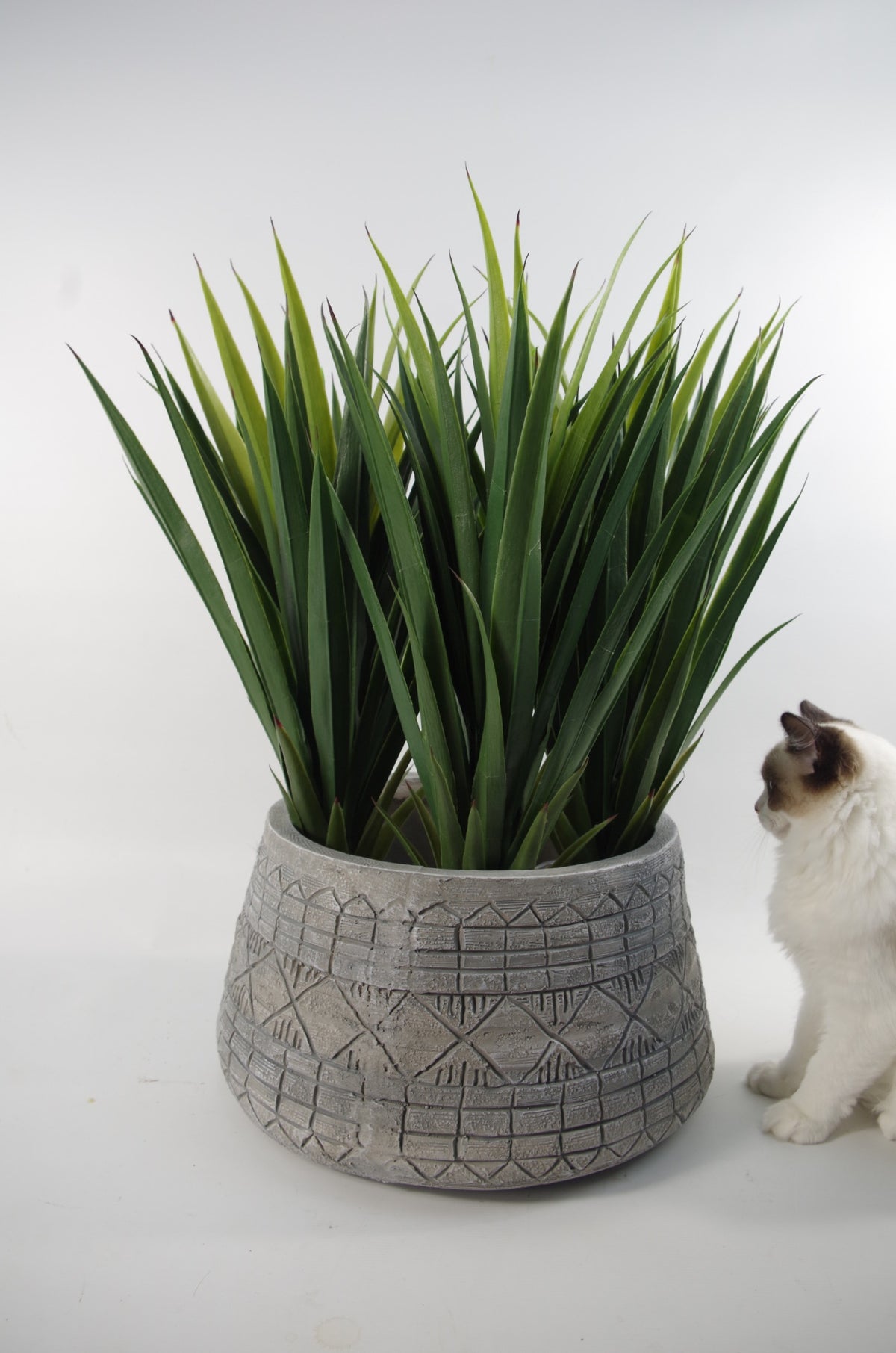 22cm x 37cm Large Grey Gliese Embossed Planter – image 7