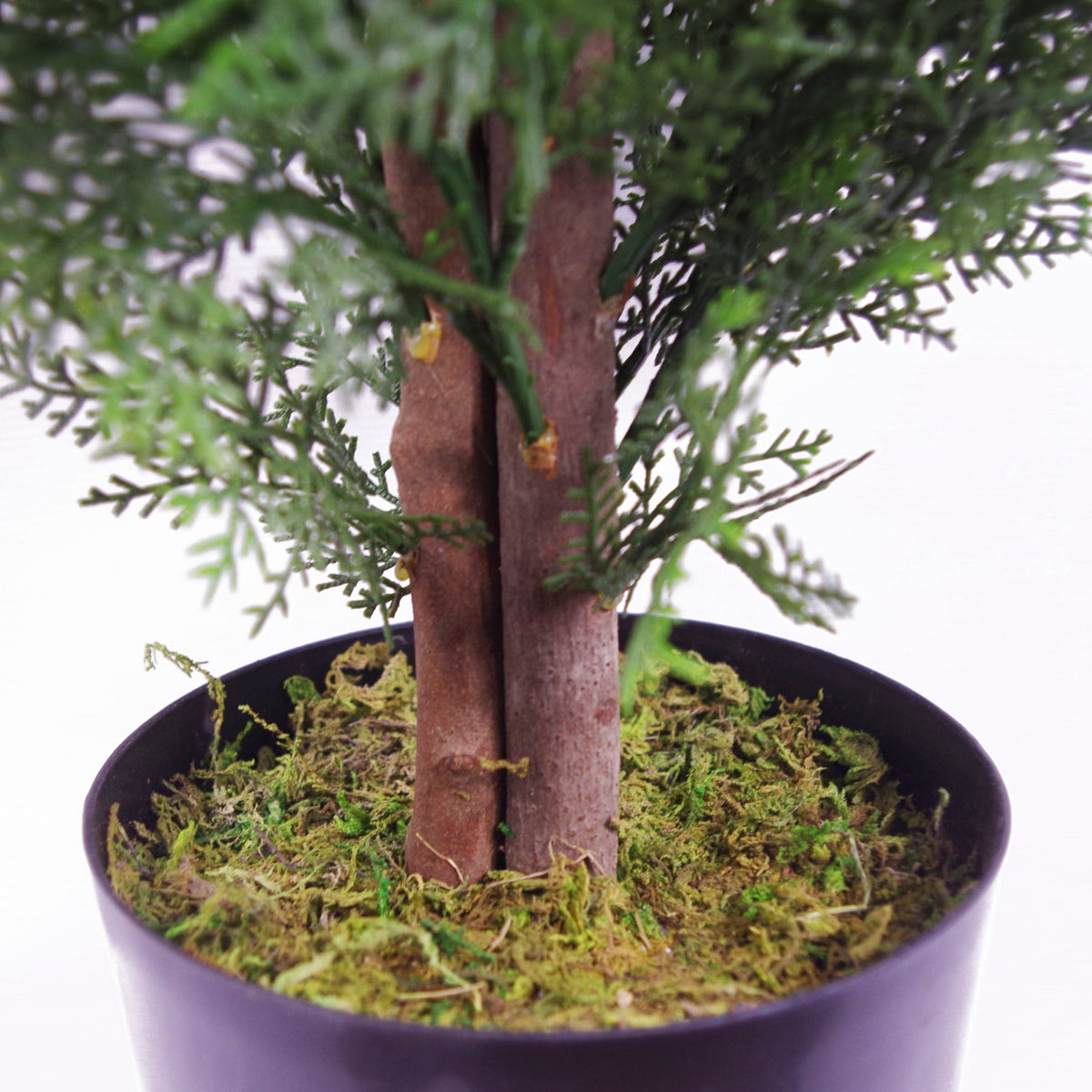 90cm Artificial Cypress Topiary Tree With Natural Wood Trunk – image 9