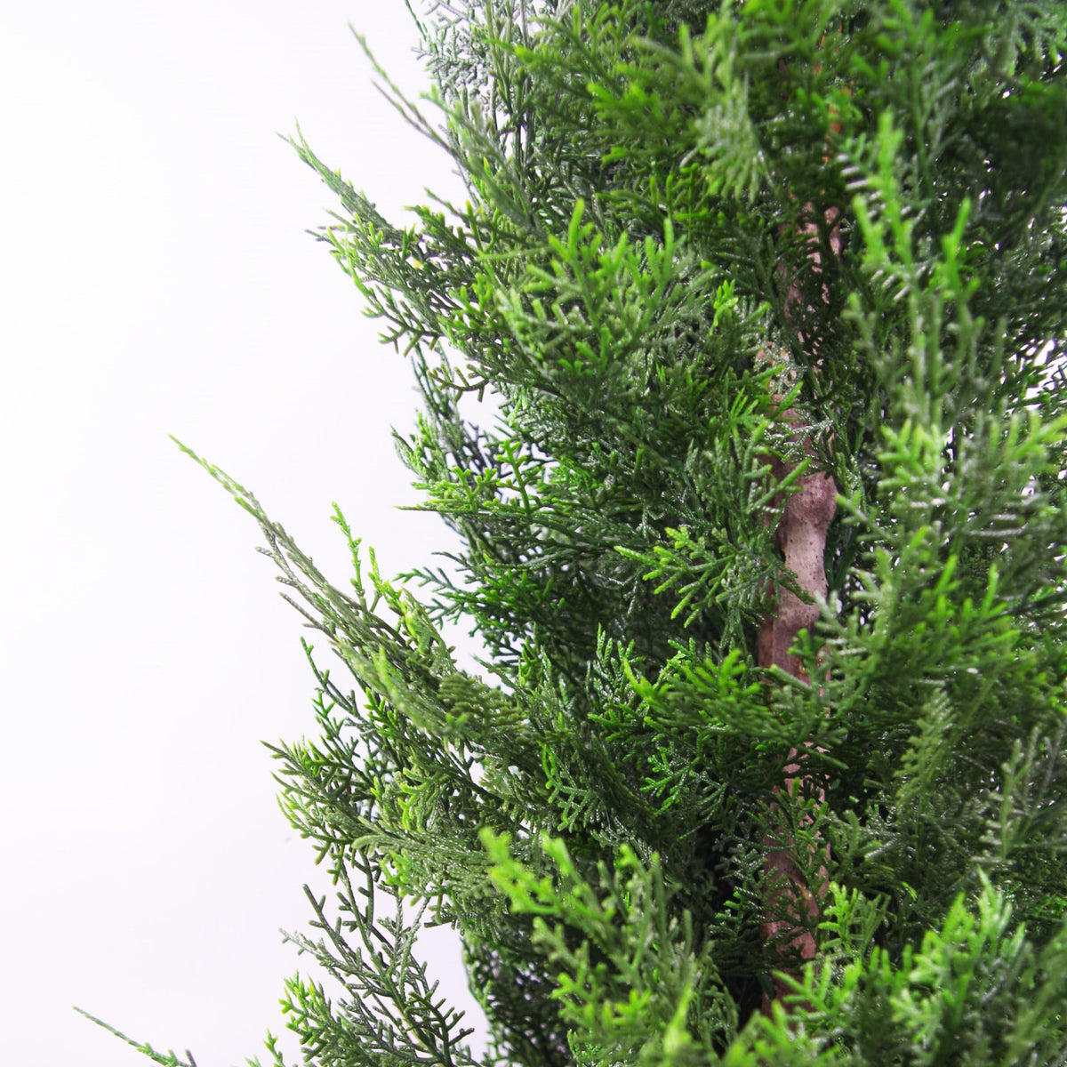 90cm Artificial Cypress Topiary Tree With Natural Wood Trunk – image 11
