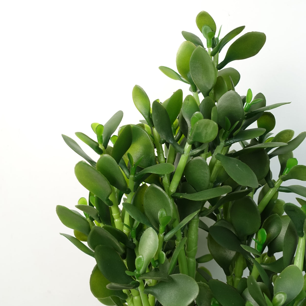 Artificial Deluxe 75cm Green Jade Plant – image 4