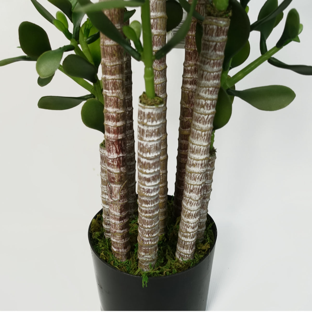 Artificial Deluxe 75cm Green Jade Plant – image 5