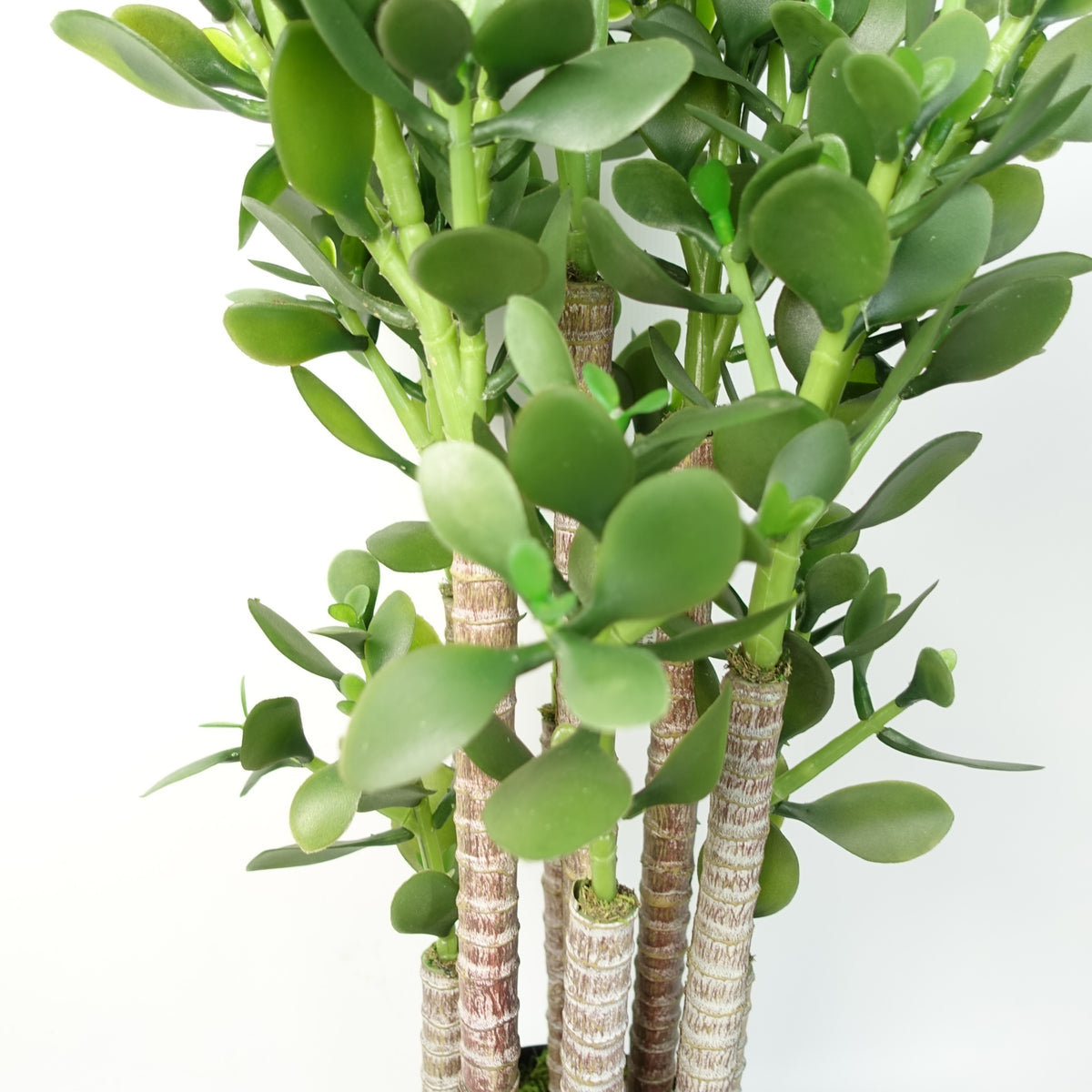 Artificial Deluxe 75cm Green Jade Plant – image 6