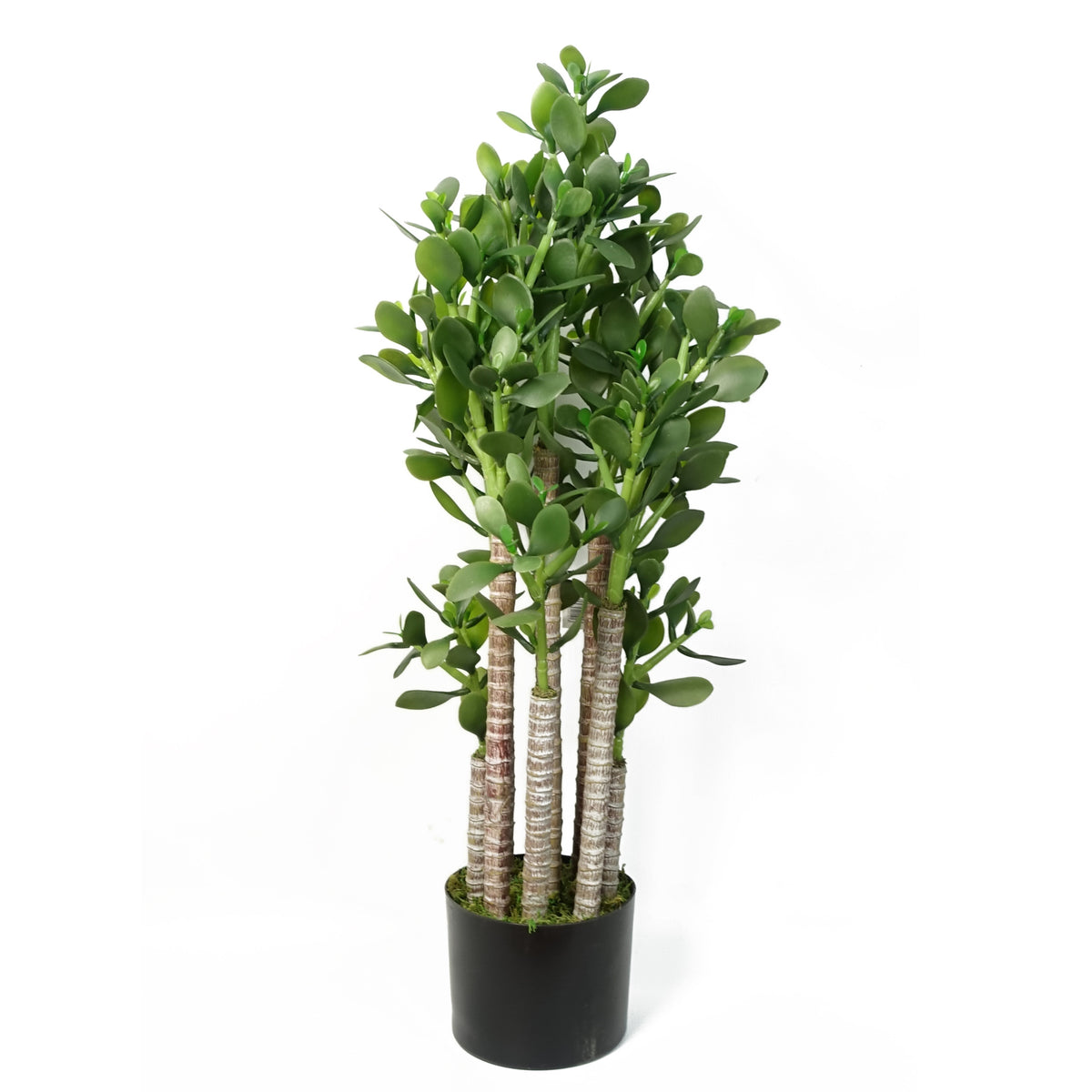Artificial Deluxe 75cm Green Jade Plant – image 2