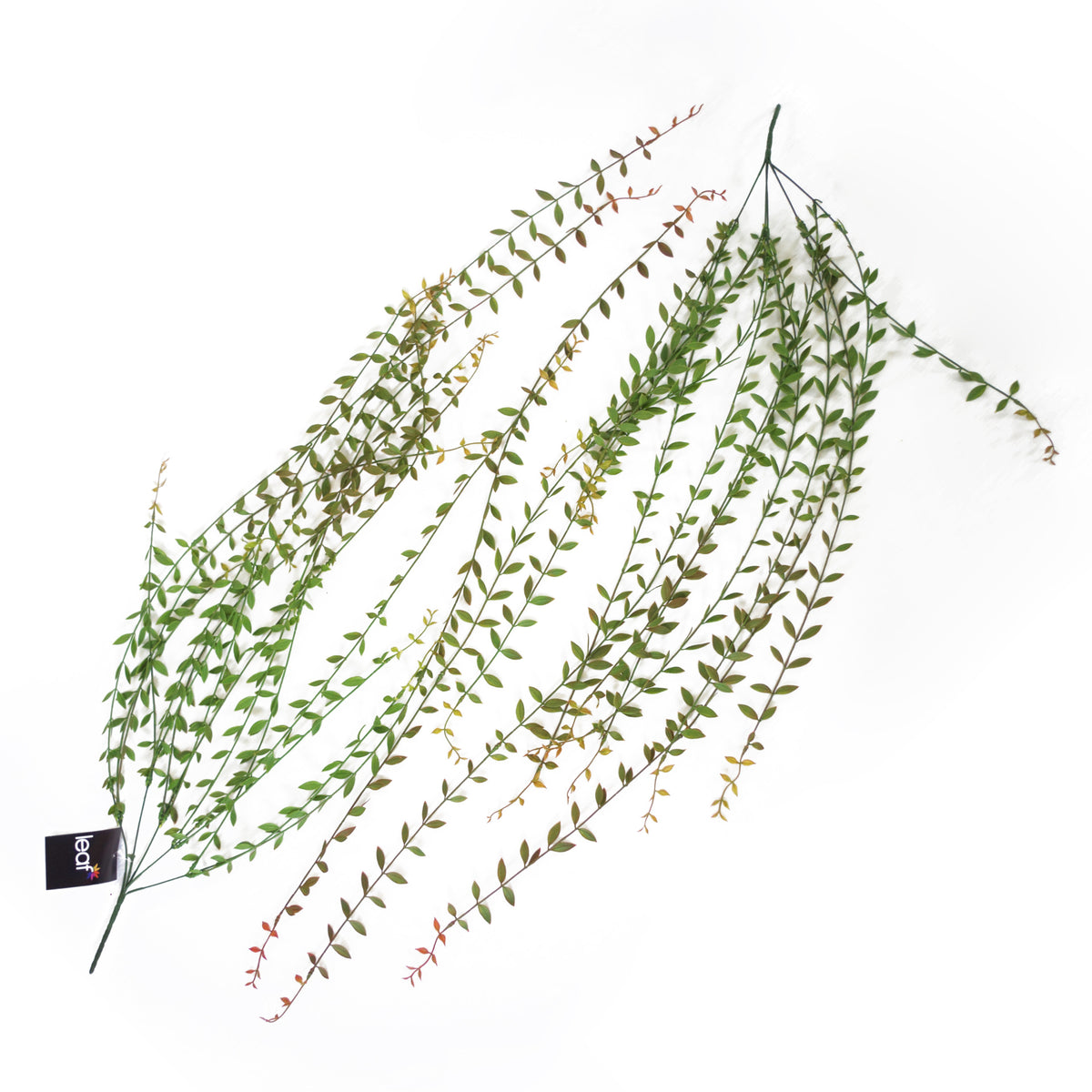 120cm Artificial Hanging String of Pearls Trailing Plant – image 6