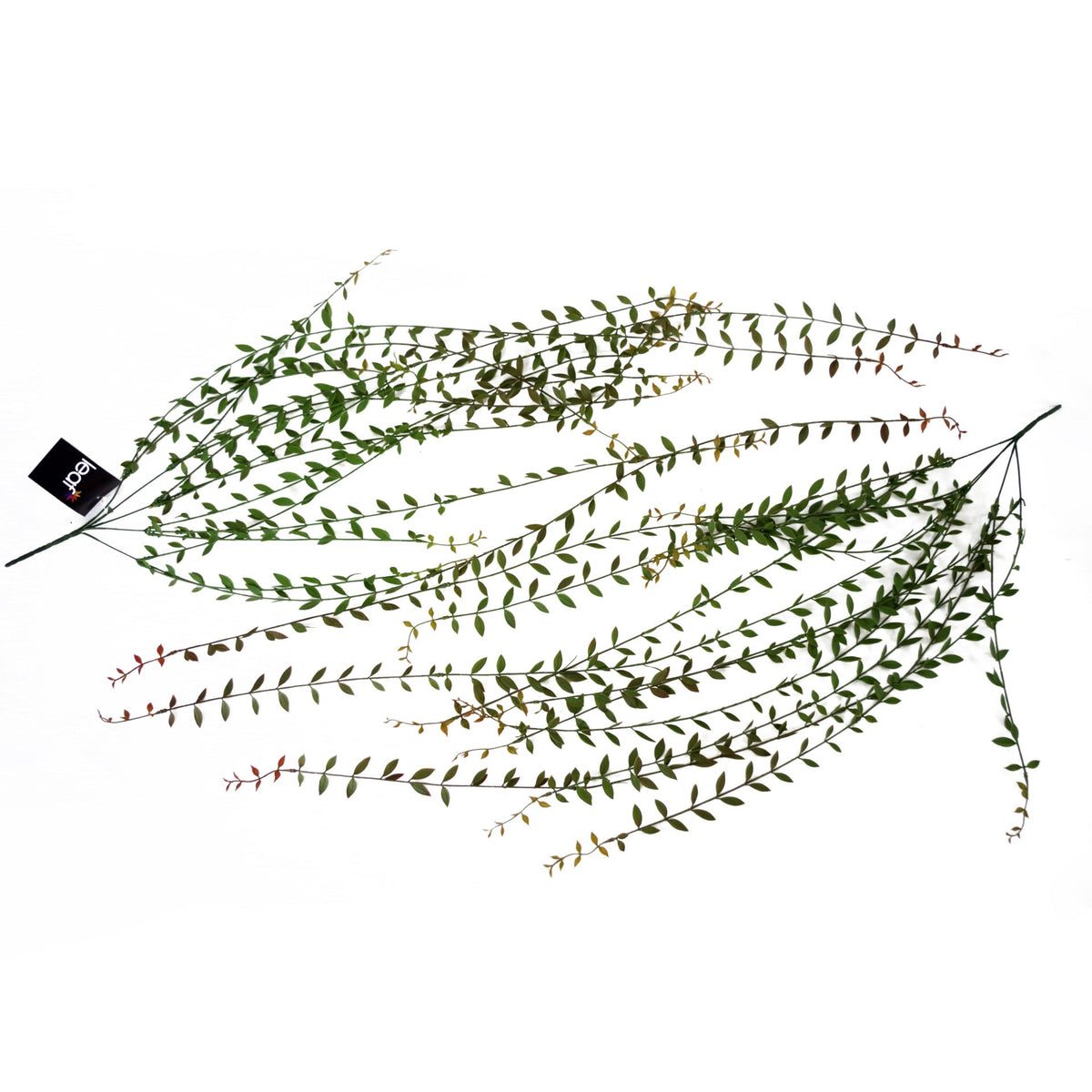 120cm Artificial Hanging String of Pearls Trailing Plant – image 10
