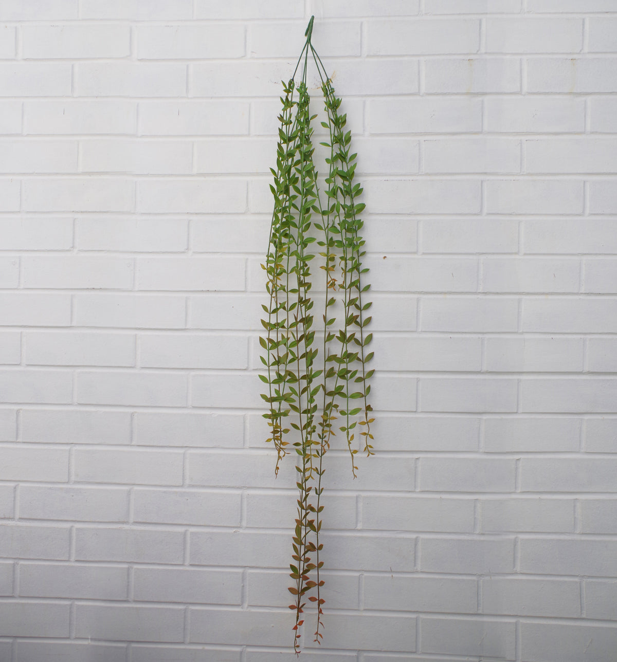 120cm Artificial Hanging String of Pearls Trailing Plant – image 3