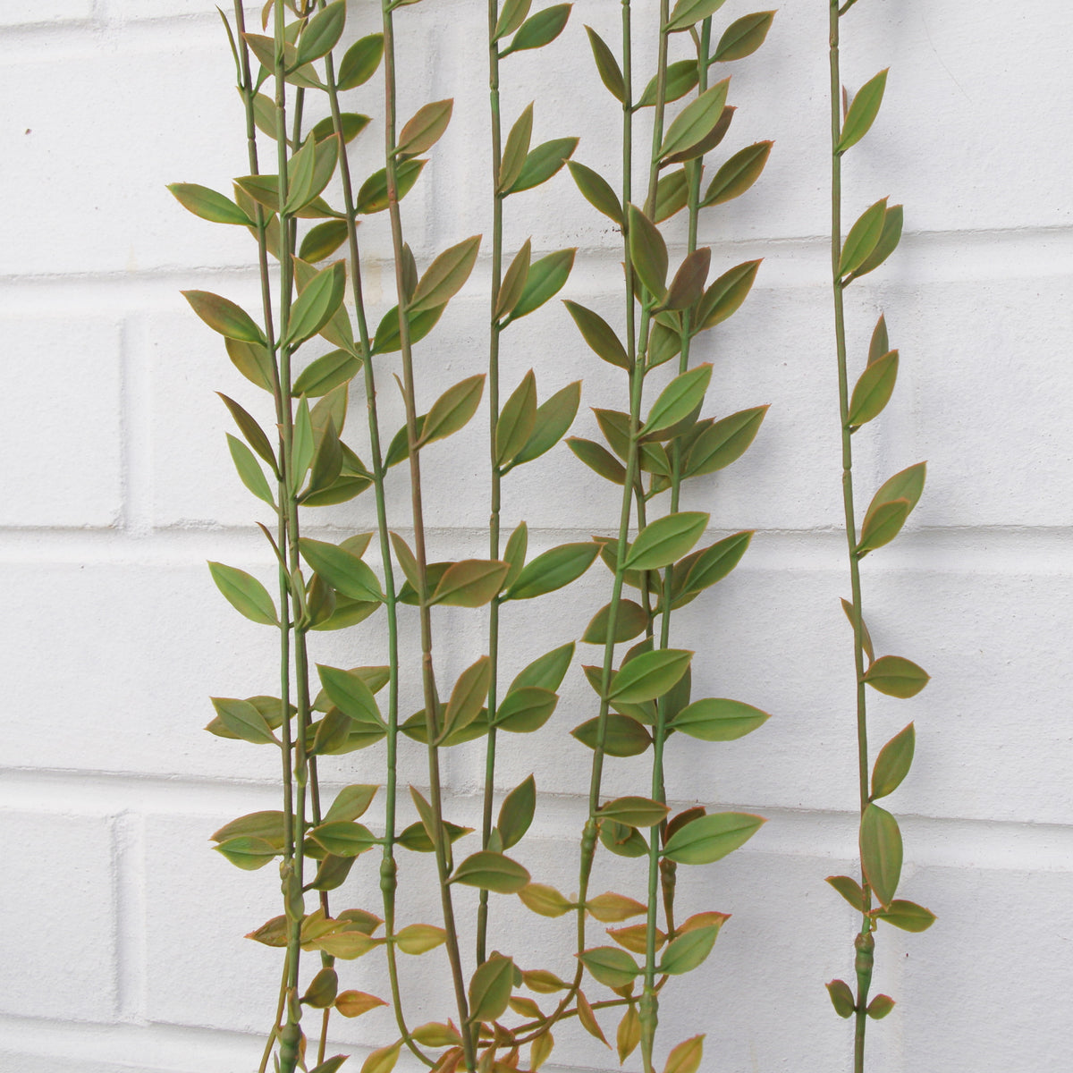 120cm Artificial Hanging String of Pearls Trailing Plant – image 2