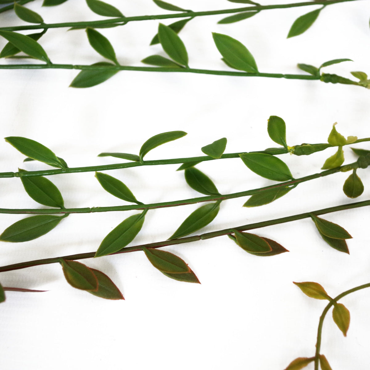 120cm Artificial Hanging String of Pearls Trailing Plant – image 9
