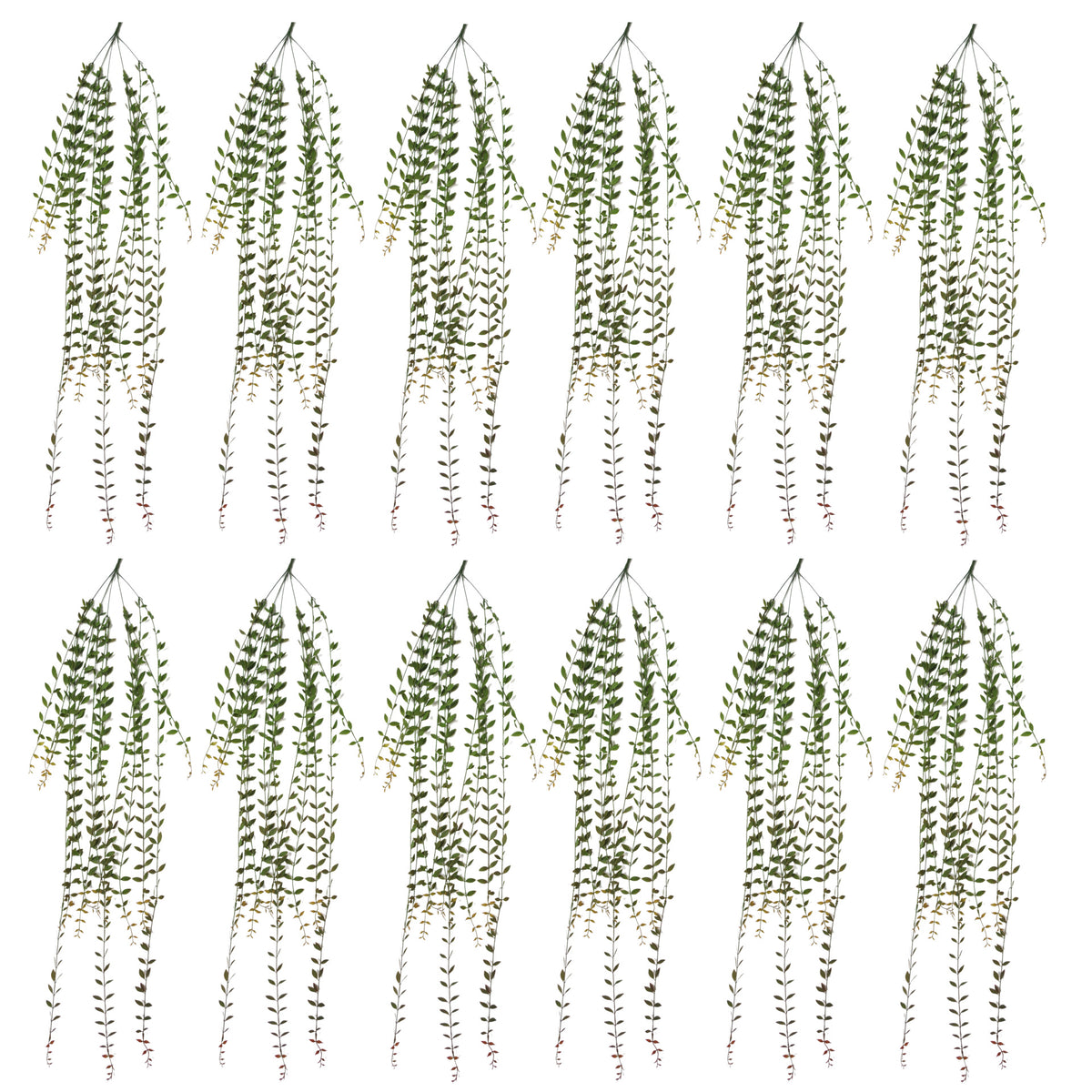 120cm Artificial Hanging String of Pearls Trailing Plant – image 7