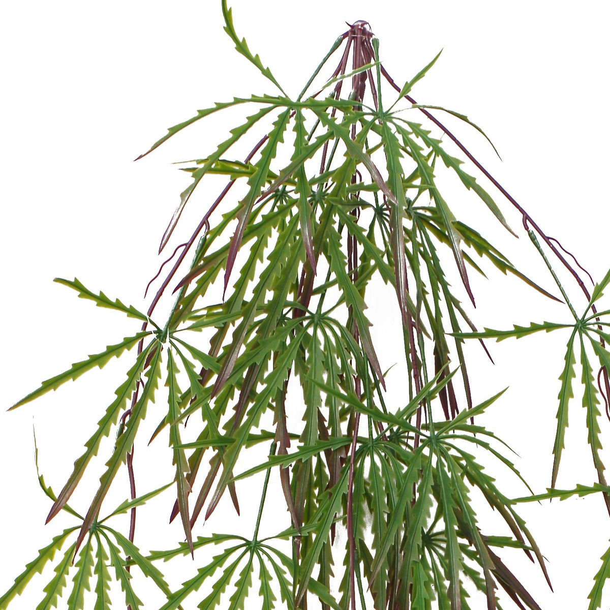 100cm Artificial Hanging Acer Trailing Foliage Plant – image 11