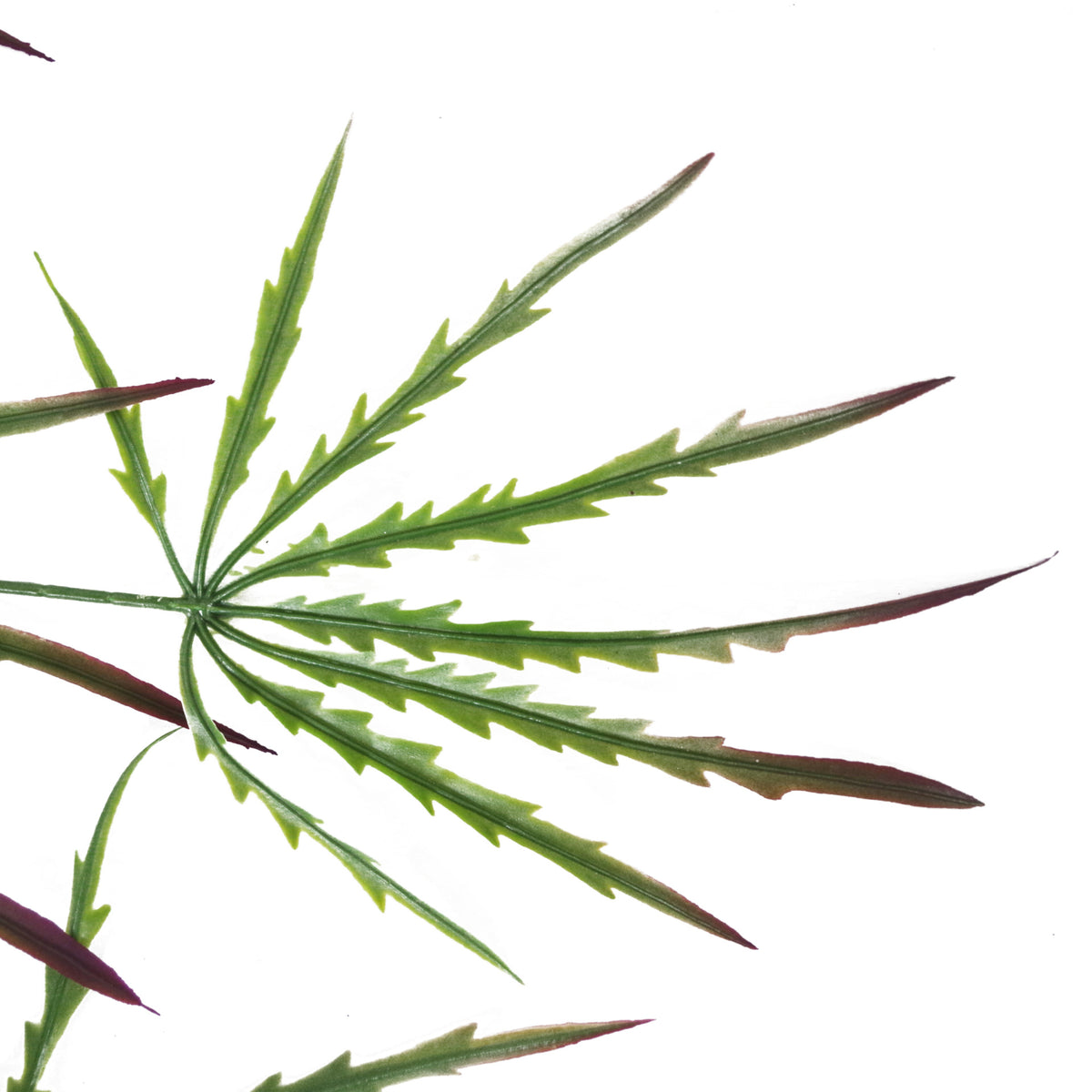 100cm Artificial Hanging Acer Trailing Foliage Plant – image 3