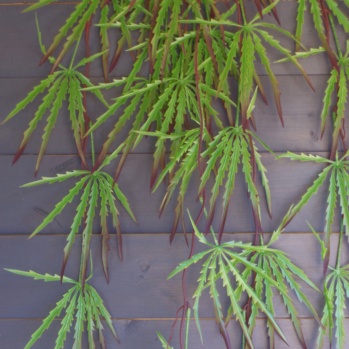 100cm Artificial Hanging Acer Trailing Foliage Plant – image 7