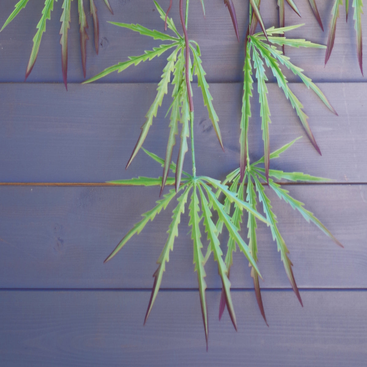 100cm Artificial Hanging Acer Trailing Foliage Plant – image 6