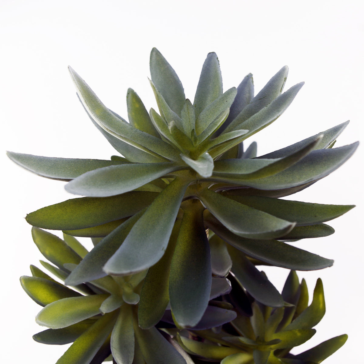 60cm Artificial Tropical Yucca in Planter – image 3