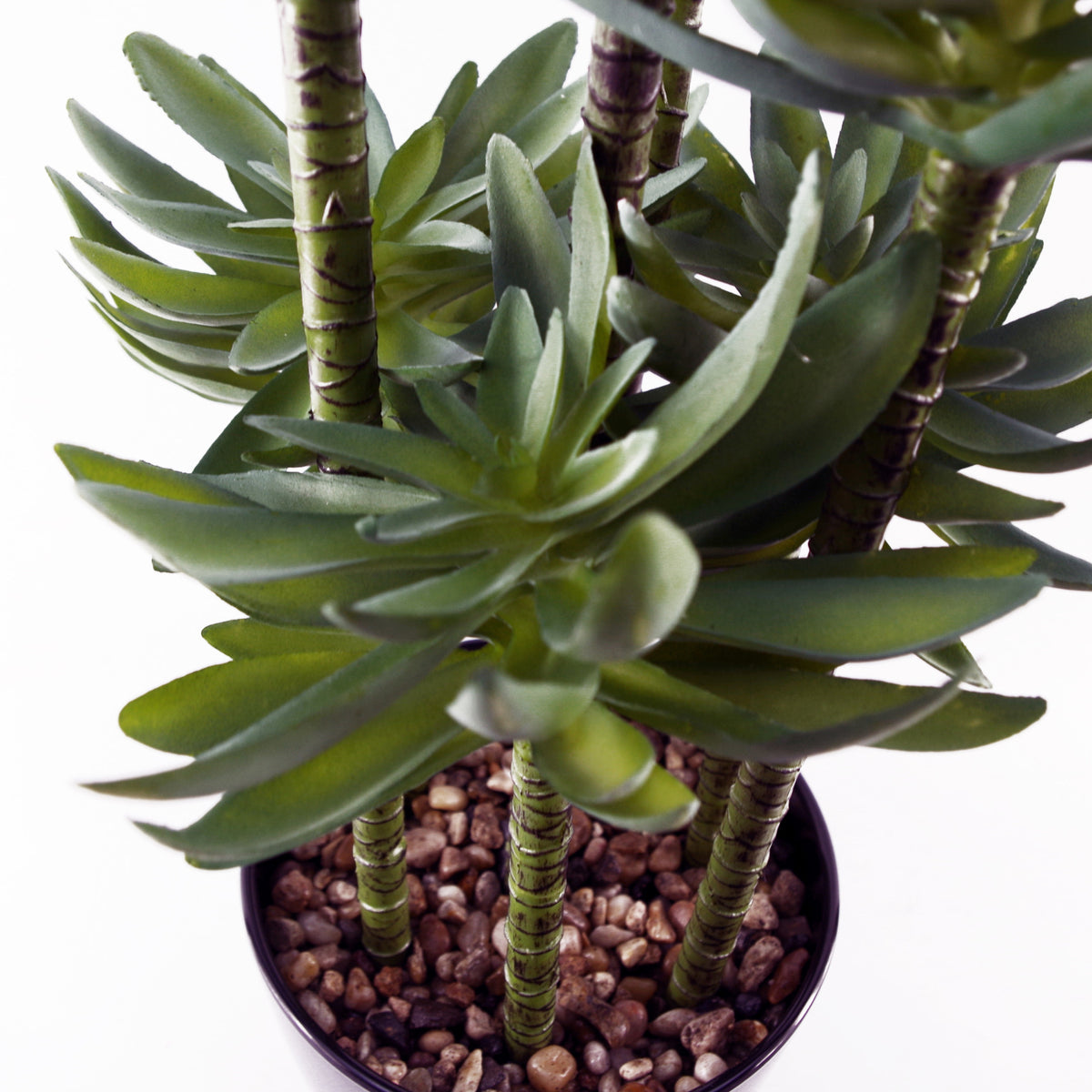 60cm Artificial Tropical Yucca in Planter – image 4
