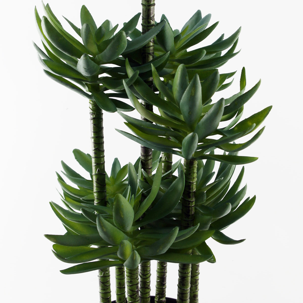 60cm Artificial Tropical Yucca in Planter – image 5