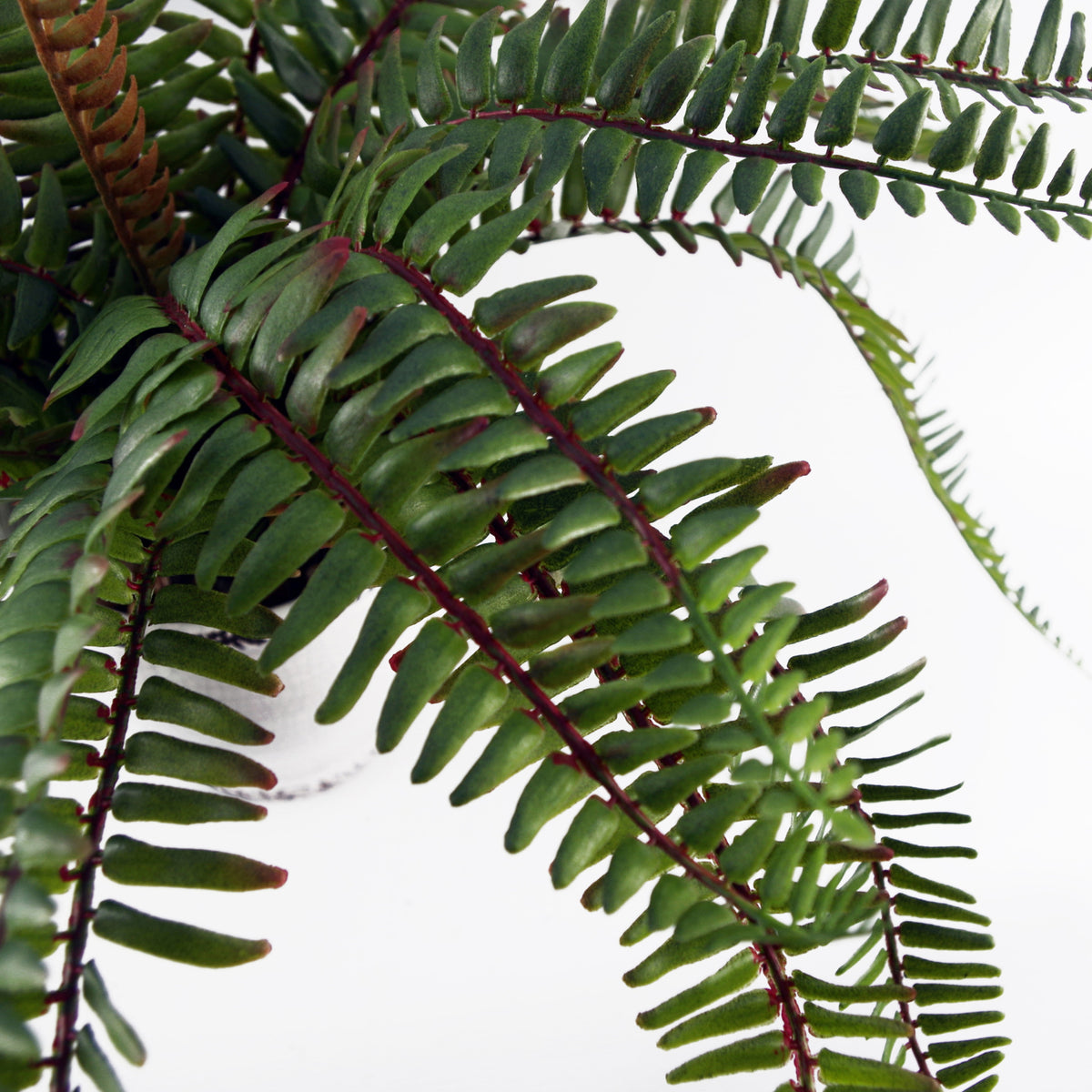 40cm Artificial Fern Bush in Decorative Planter – image 9