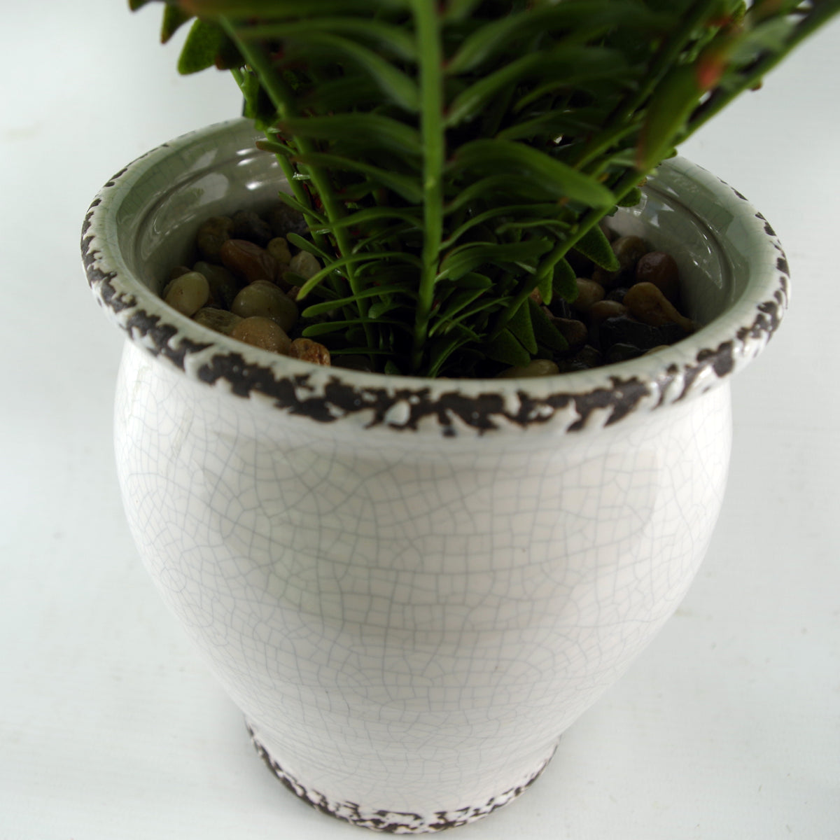40cm Artificial Fern Bush in Decorative Planter – image 8