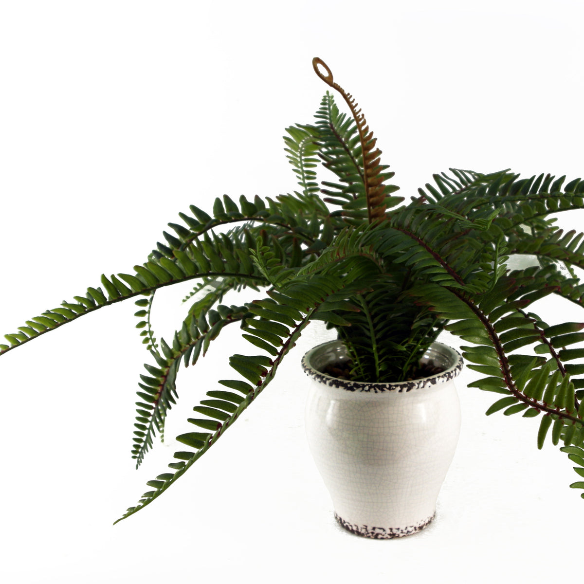 40cm Artificial Fern Bush in Decorative Planter – image 5