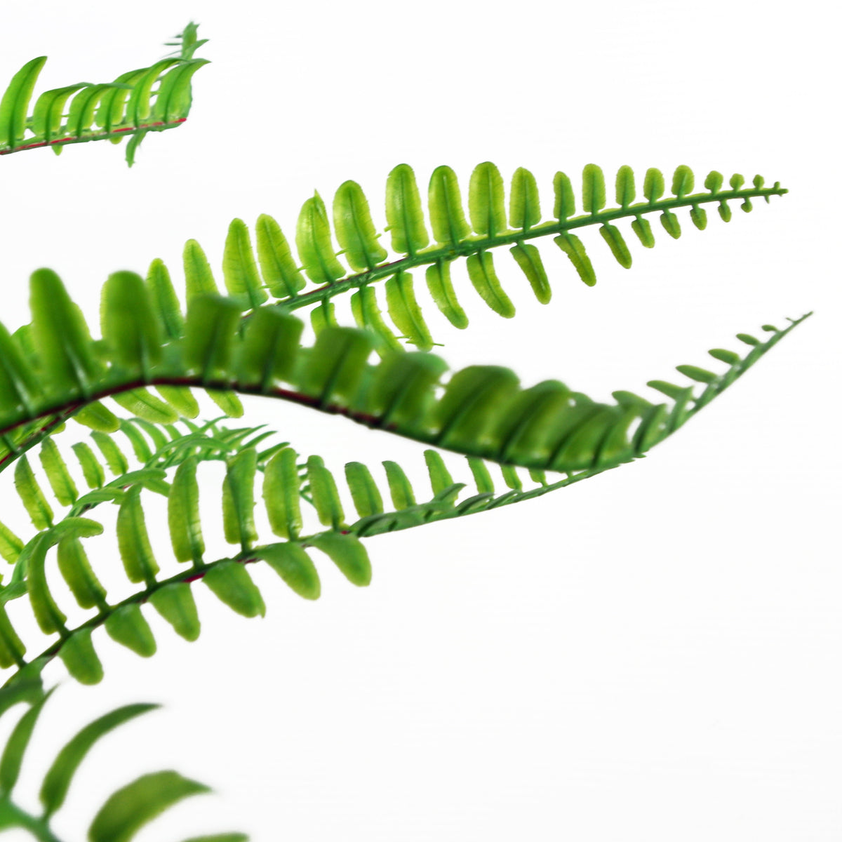 40cm Artificial Fern with Ceramic Planter & Stand – image 4