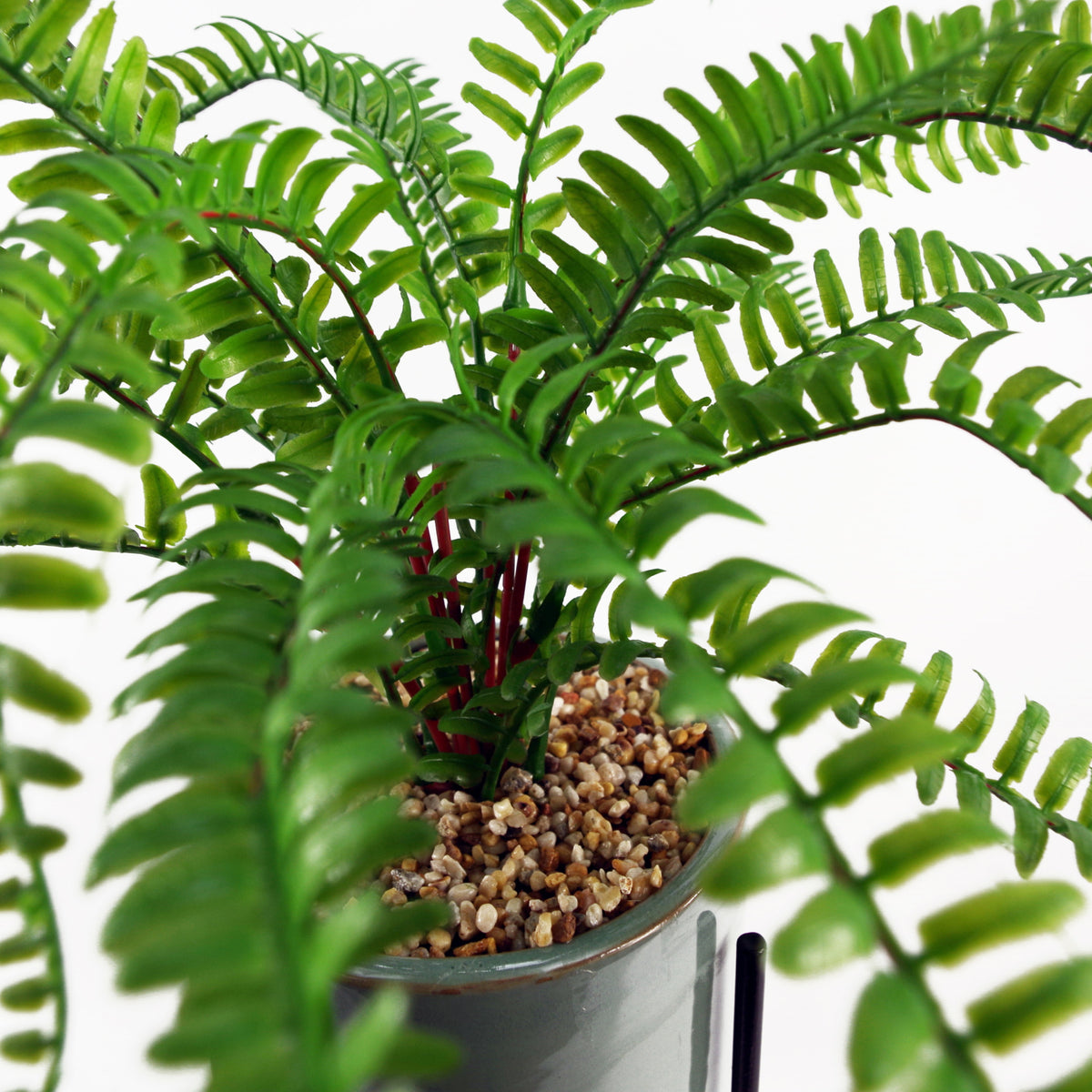 40cm Artificial Fern with Ceramic Planter & Stand – image 8
