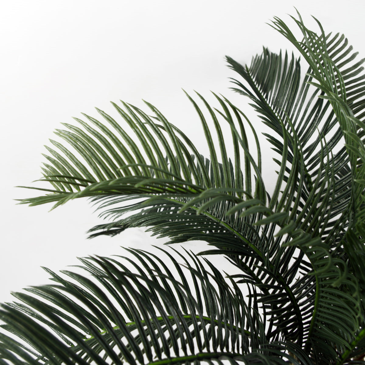Artificial Tropical Cycas Palm Plant – image 5