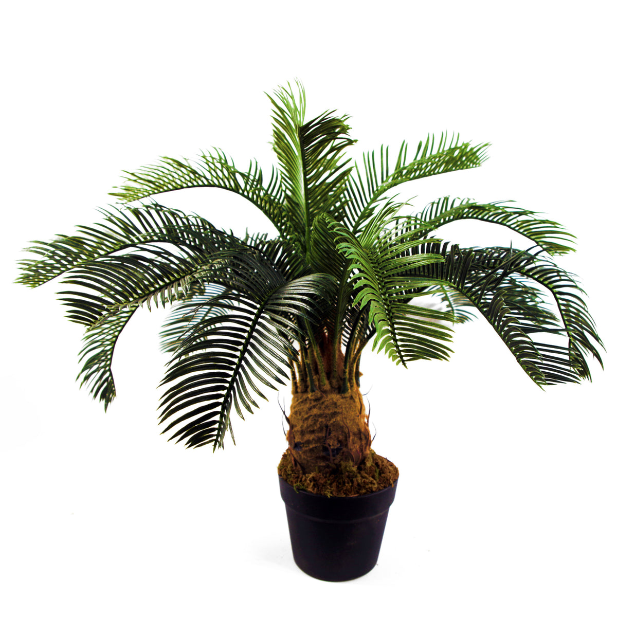 Artificial Tropical Cycas Palm Plant – image 2