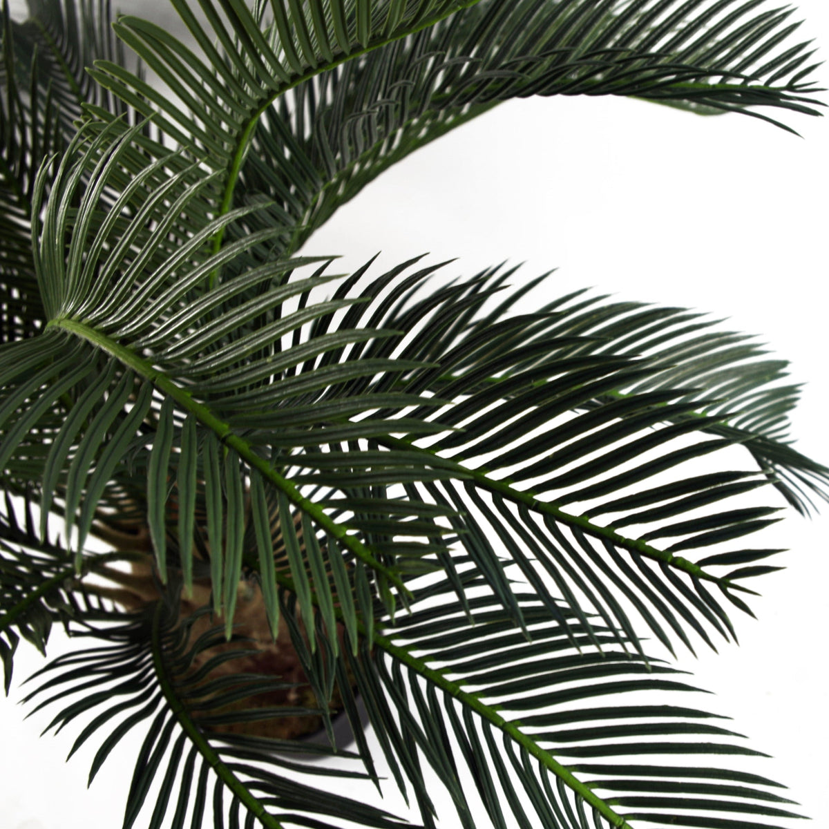 Artificial Tropical Cycas Palm Plant – image 7