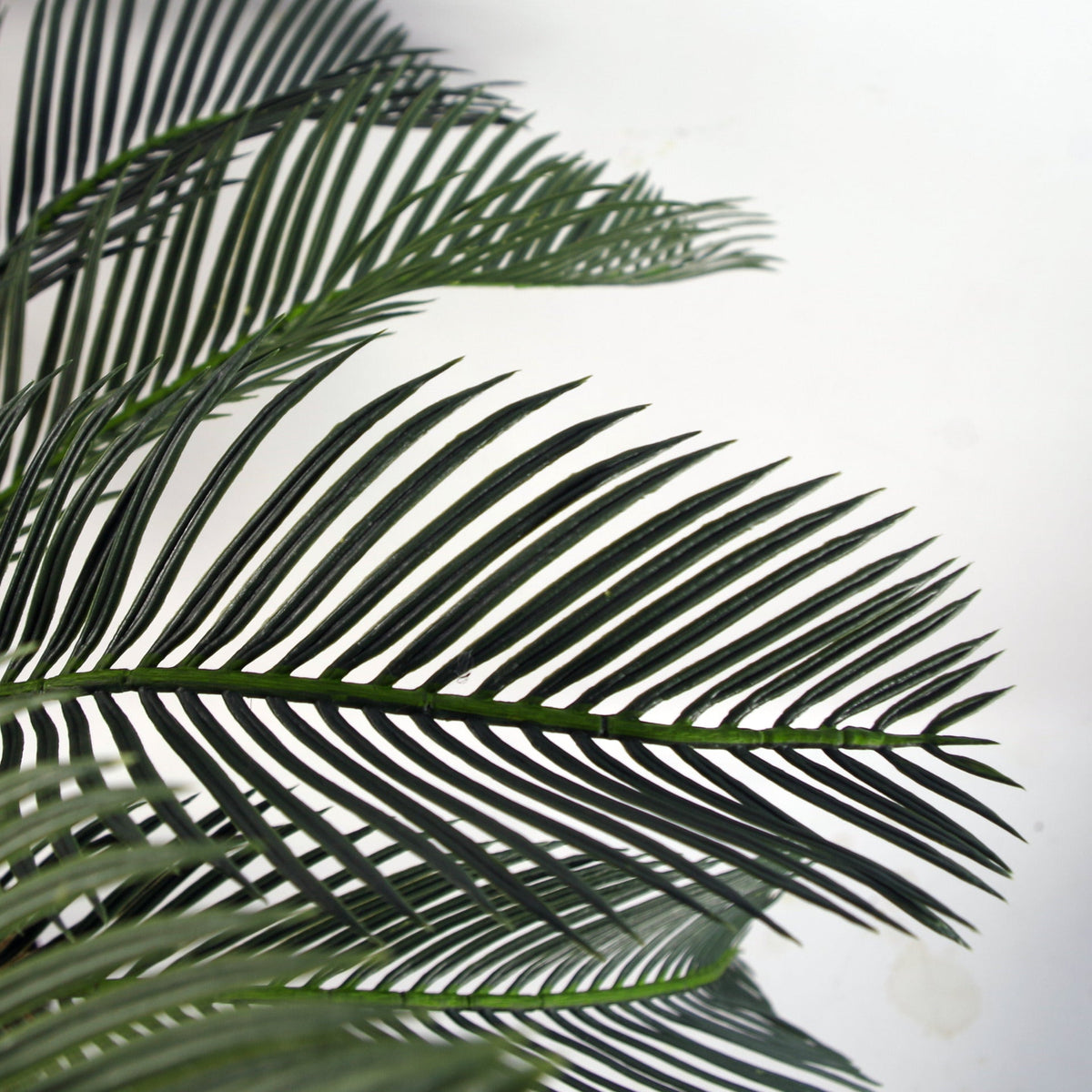 Artificial Tropical Cycas Palm Plant – image 8