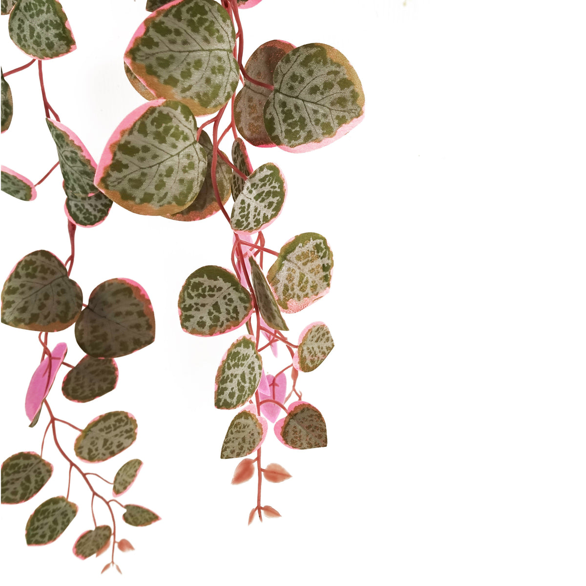 90cm Artificial Potted Hanging Trailing Plant - String of Hearts – image 5