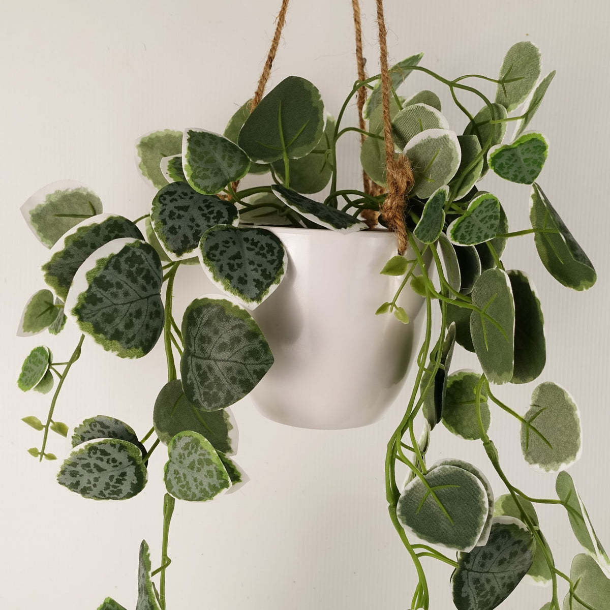 90cm Artificial Potted Hanging Trailing Plant - String of Hearts – image 7