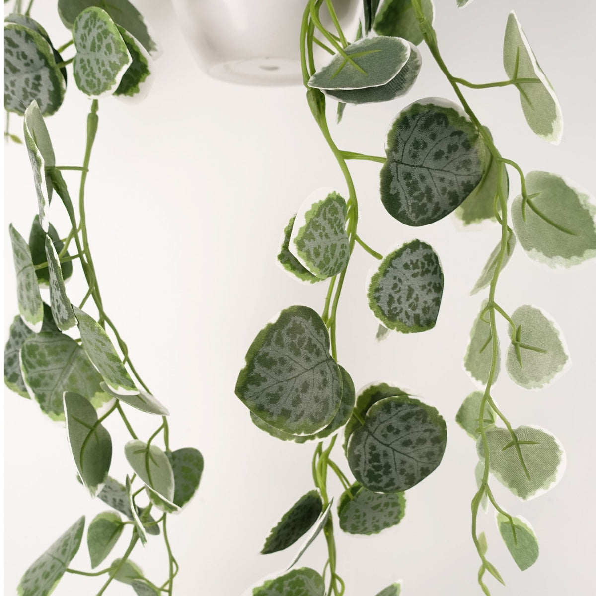 90cm Artificial Potted Hanging Trailing Plant - String of Hearts – image 8